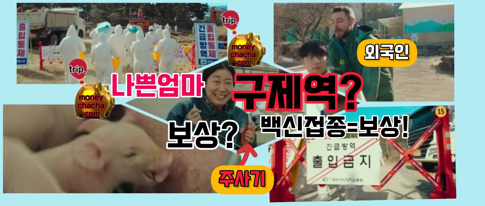 JTBC나쁜엄마-구제역