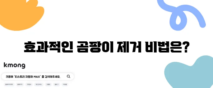 욕실에서 발생한 곰팡이 쉽게 없애는 방법