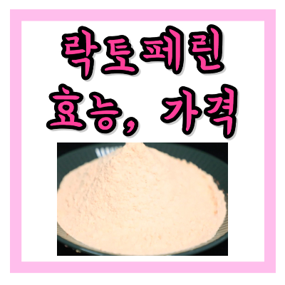 락토페린
