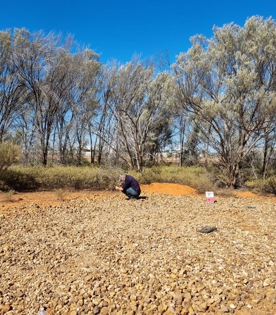 [마침내 아웃백] 퀼피(Quilpie)돌아보기&amp;#44; Fossicking