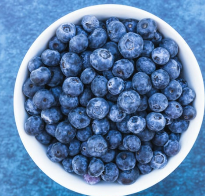 강아지 블루베리 효능 부작용 급여 주의사항 총정리