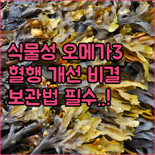 혈행 개선 돕는 식물성 rTG 오메가..