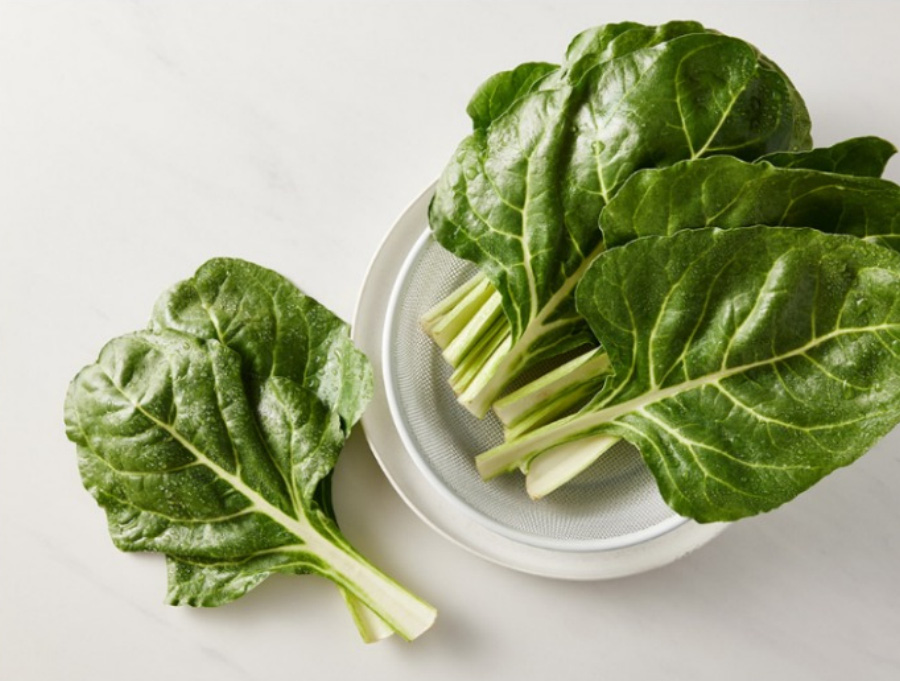 야생에서 채취를 한 근대나물의 잎을 잘 세척해서 하얀 바닥위에 동그랗고 하얀 그릇을 놓고 그 위에 근대 잎을 6장 포개서 놓아 두고, 그 옆에 바닥에는 근대 잎을 2장 포개놓고 찍은 사진