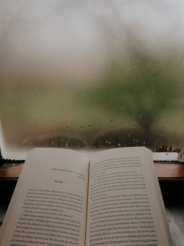 4050대 공부 효율을 높이는 청각 환경 &ndash; 백색소음&middot;음악&middot;환경음의 차이