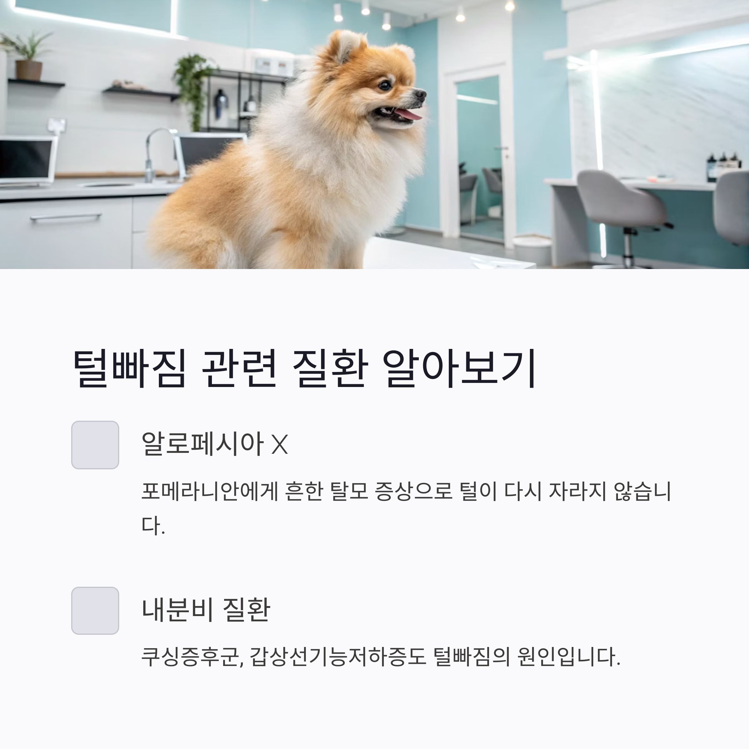 털빠짐 관련 질환 알아보기