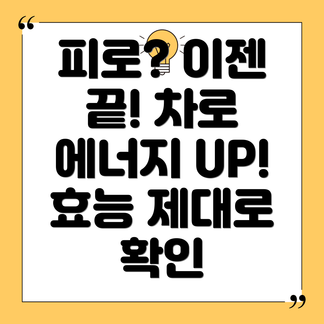 피로 회복 차