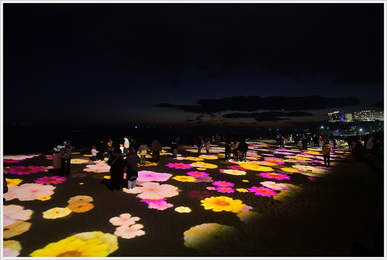 속초시 미디어아트