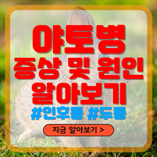 야토병 증상 및 원인