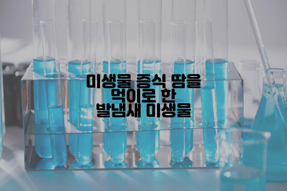 미생물 증식 땀을 먹이로 한 발냄새 미생물