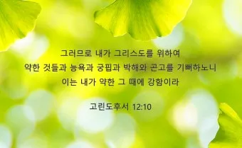 고린도후서 12장 9절 해석 - 내 은혜가 네게 족하도다 약한 데서 온전하여짐이라_26