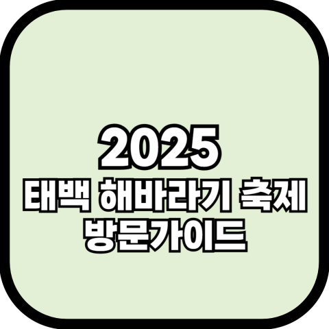 태백 해바라기축제 2025