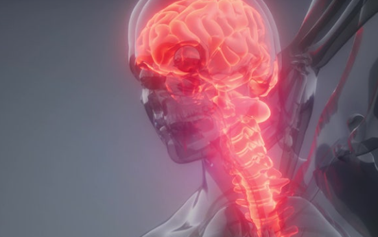 알츠하이머&middot;파킨슨&middot;혈관성 치매 차이점 총정리 + 증상 체크리스트