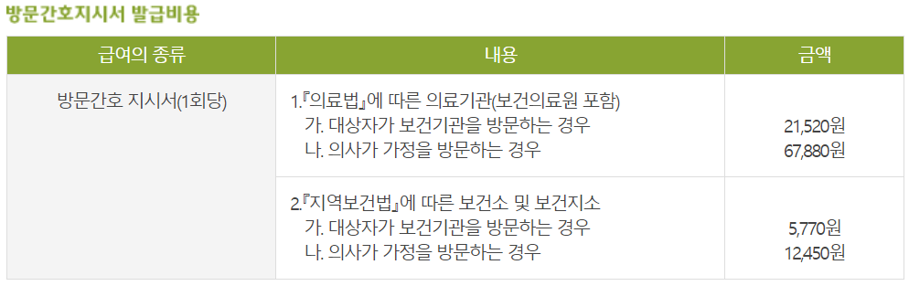 방문간호 지시서 발급 비용