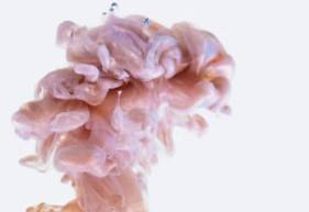 뇌 영양제 추천 부작용 효과 성분 가격