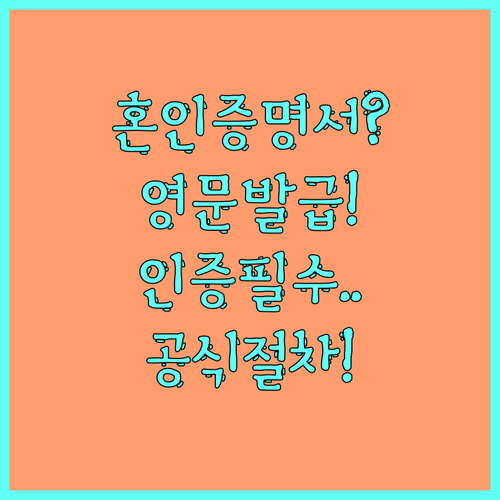 정부24에서 혼인관계증명서 특수 영문..