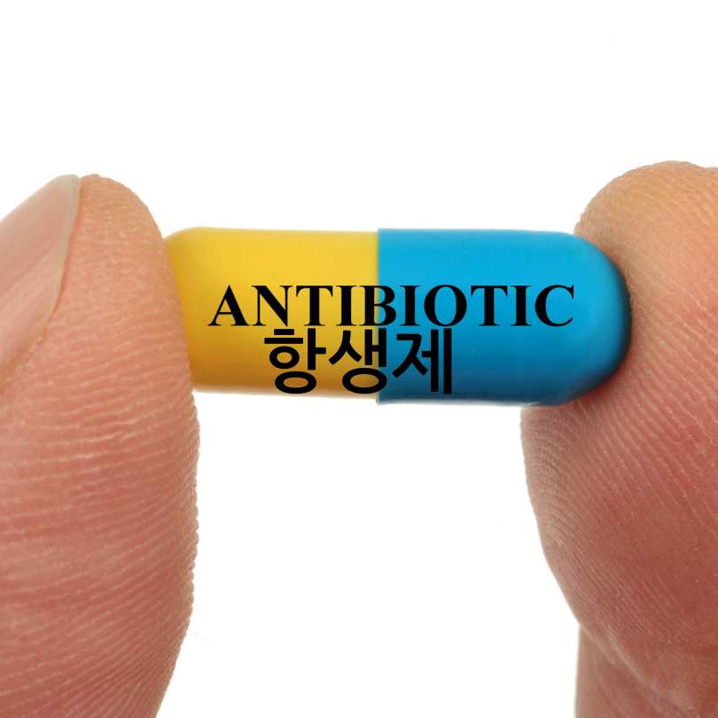 항생제와 소염제 차이
