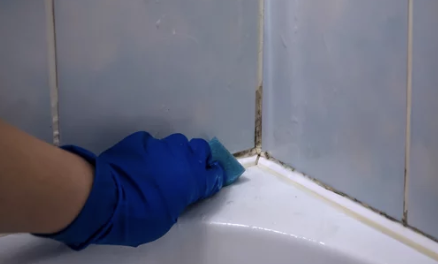 화장실 청소하는 모습