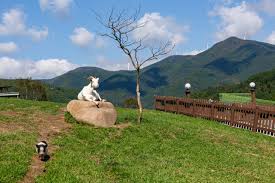 10월 가볼만한곳 베스트