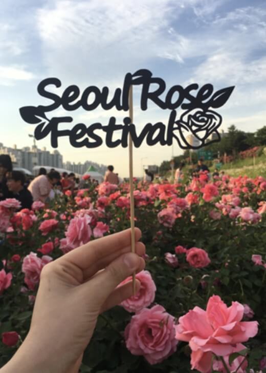 중랑 서울장미축제