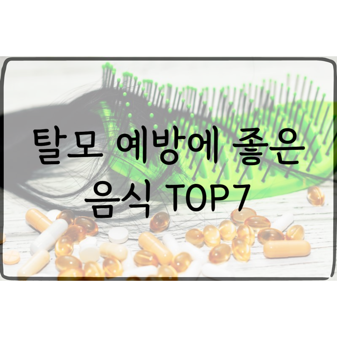 탈모 예방 음식