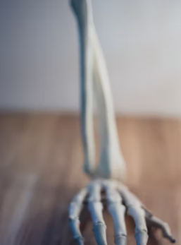 골다공증에 좋은 음식 10가지