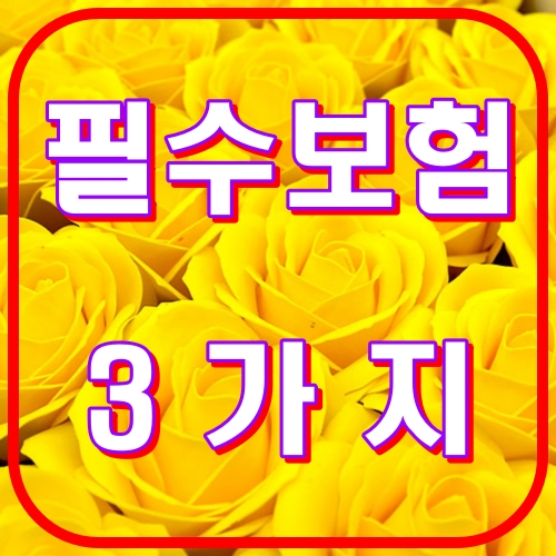 필수보험3가지