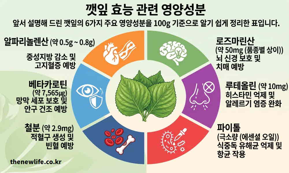 깻잎 효능 영양성분
