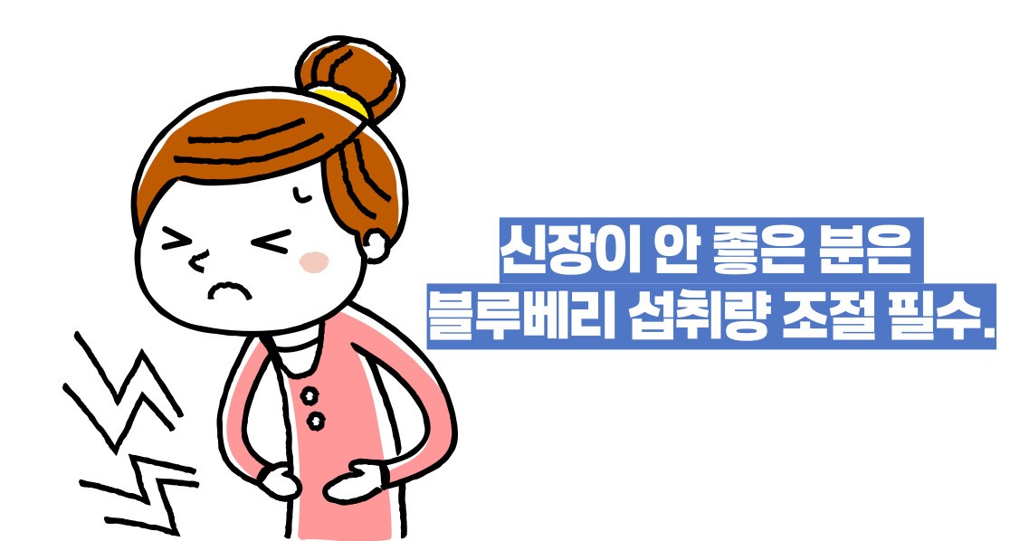 블루베리 효능 부작용