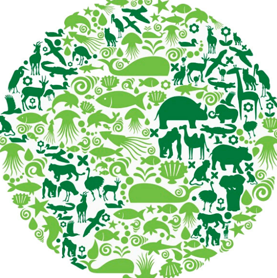 생물다양성 뜻 생물다양성협약 총회 보전 중요성