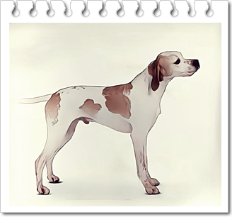 사냥견.
잉글리시 포인터(English Pointer)