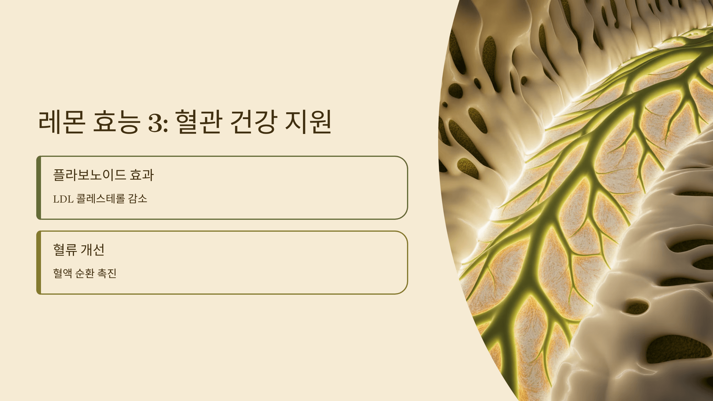 레몬 사진입니다.