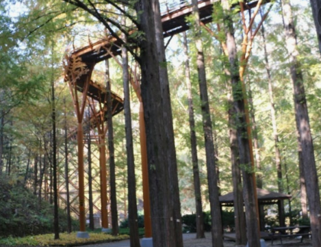 대전 장태산 자연휴양림 스카이웨이