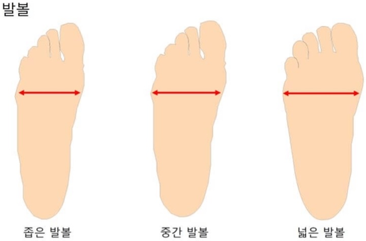 발볼의 형태에 따른 발모양을 보여주는 사진입니다. 좁은 발볼&#44; 중간 발볼&#44; 넓은 발볼