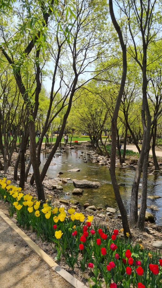 순천만국가정원 4월 튤립축제 포토존