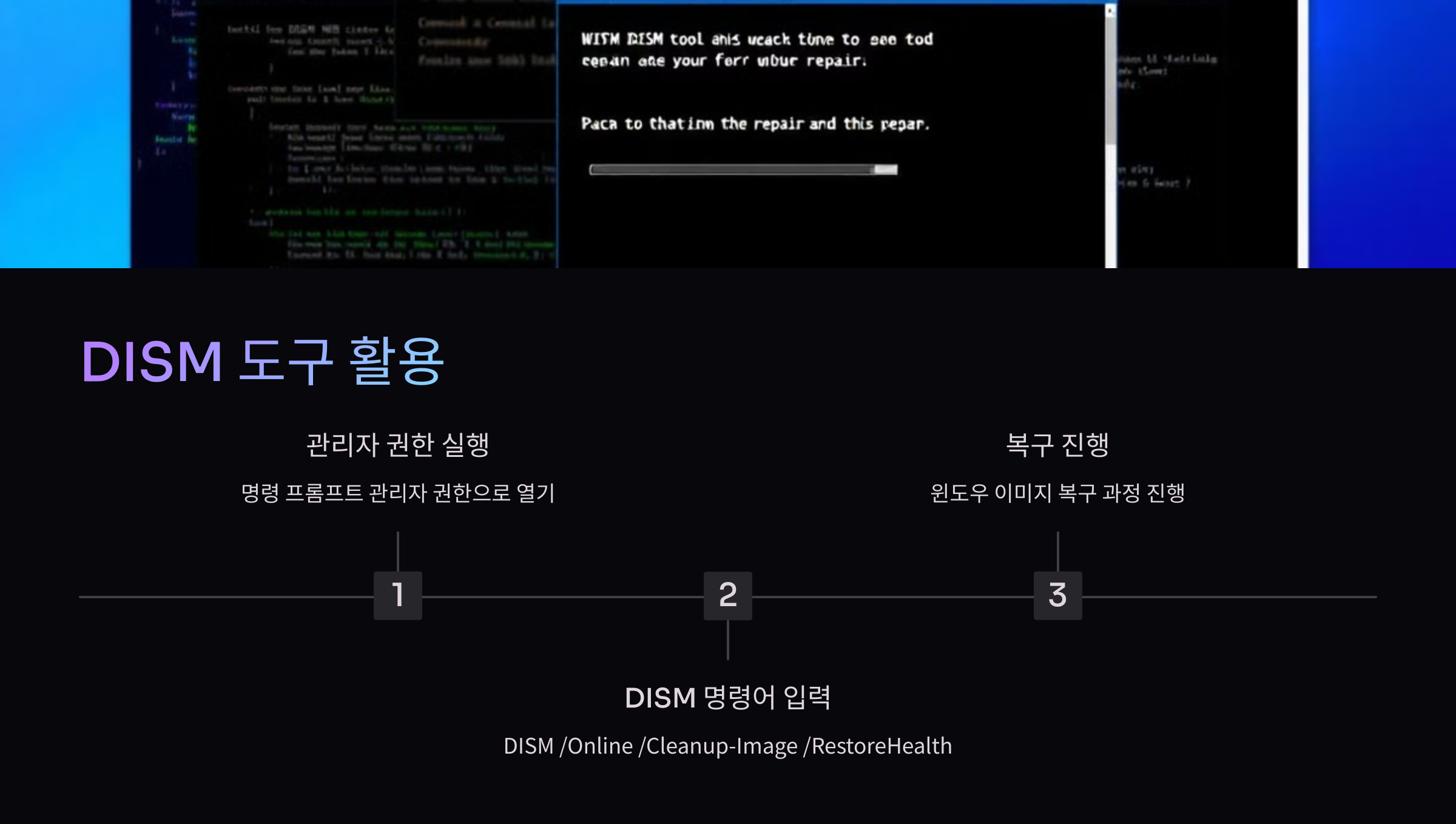 DISM