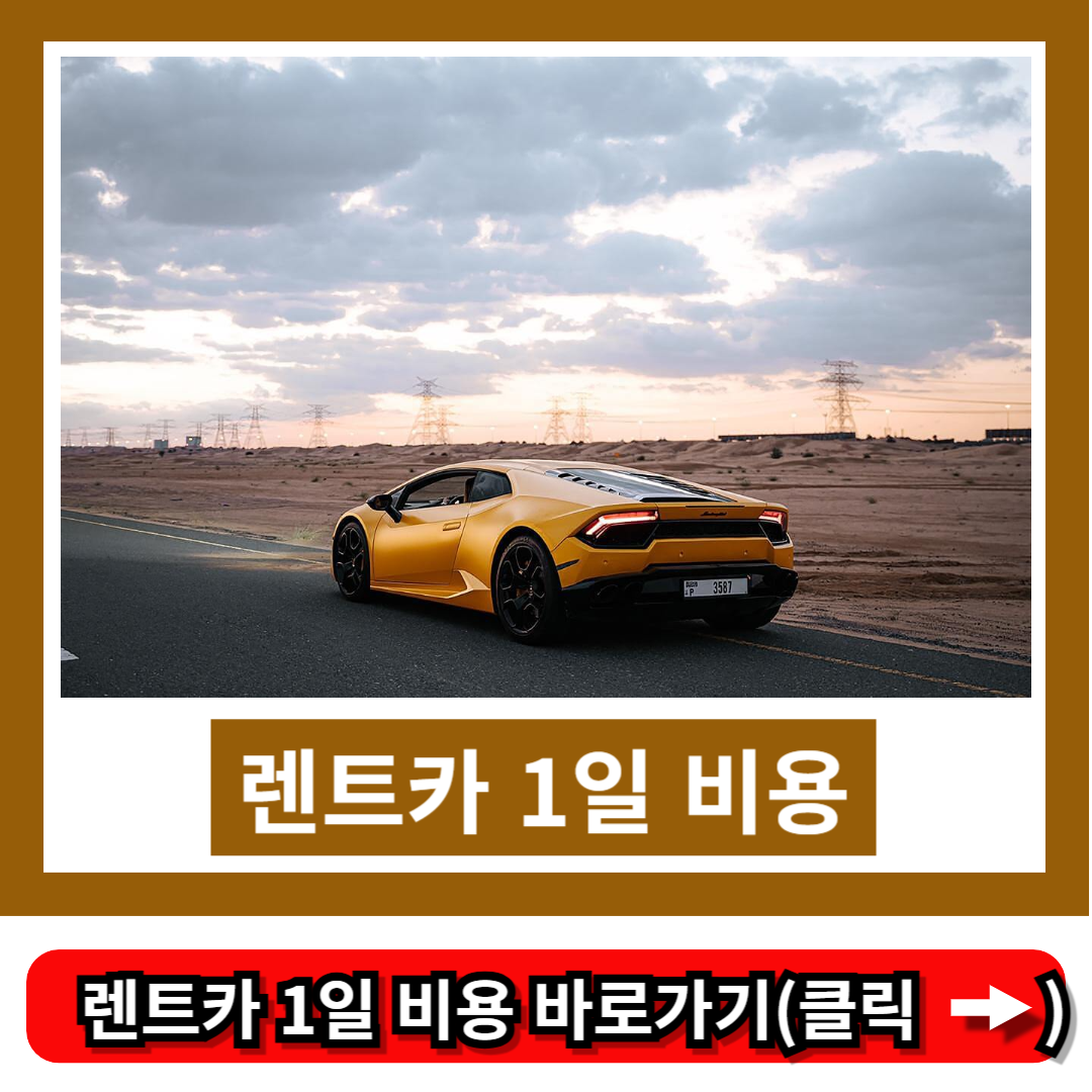 렌트카 1일 비용