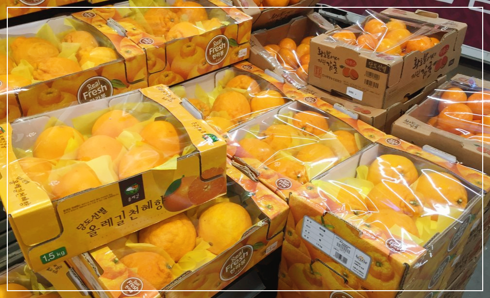 구내염에-좋은-음식