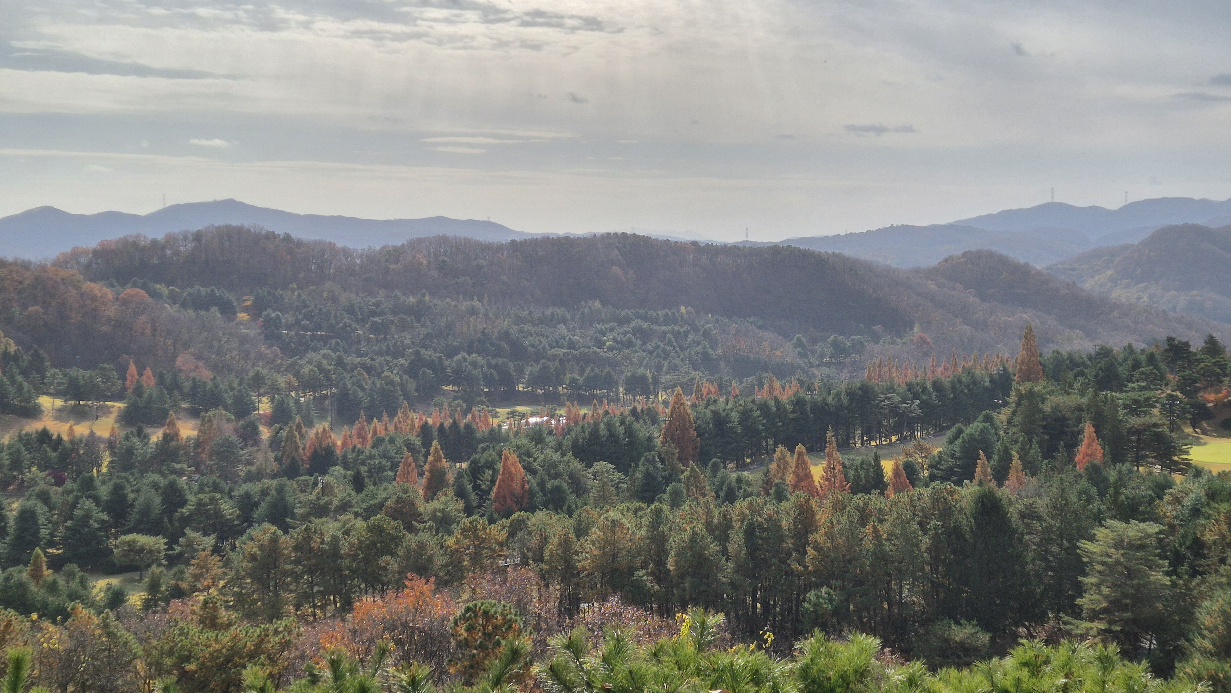 세종에머슨cc 밸리-마운틴 코스 라운드 후기