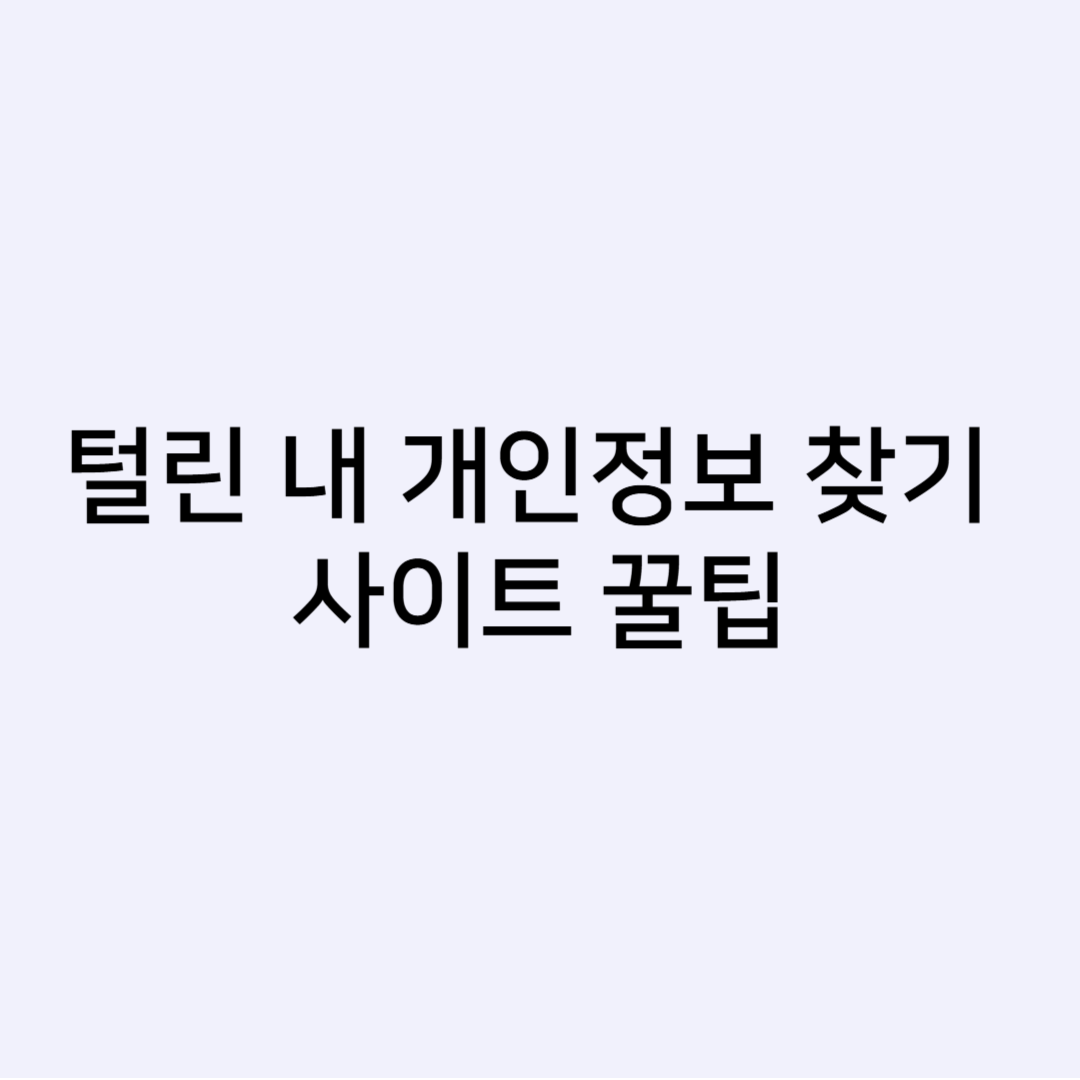 털린내개인정보찾기