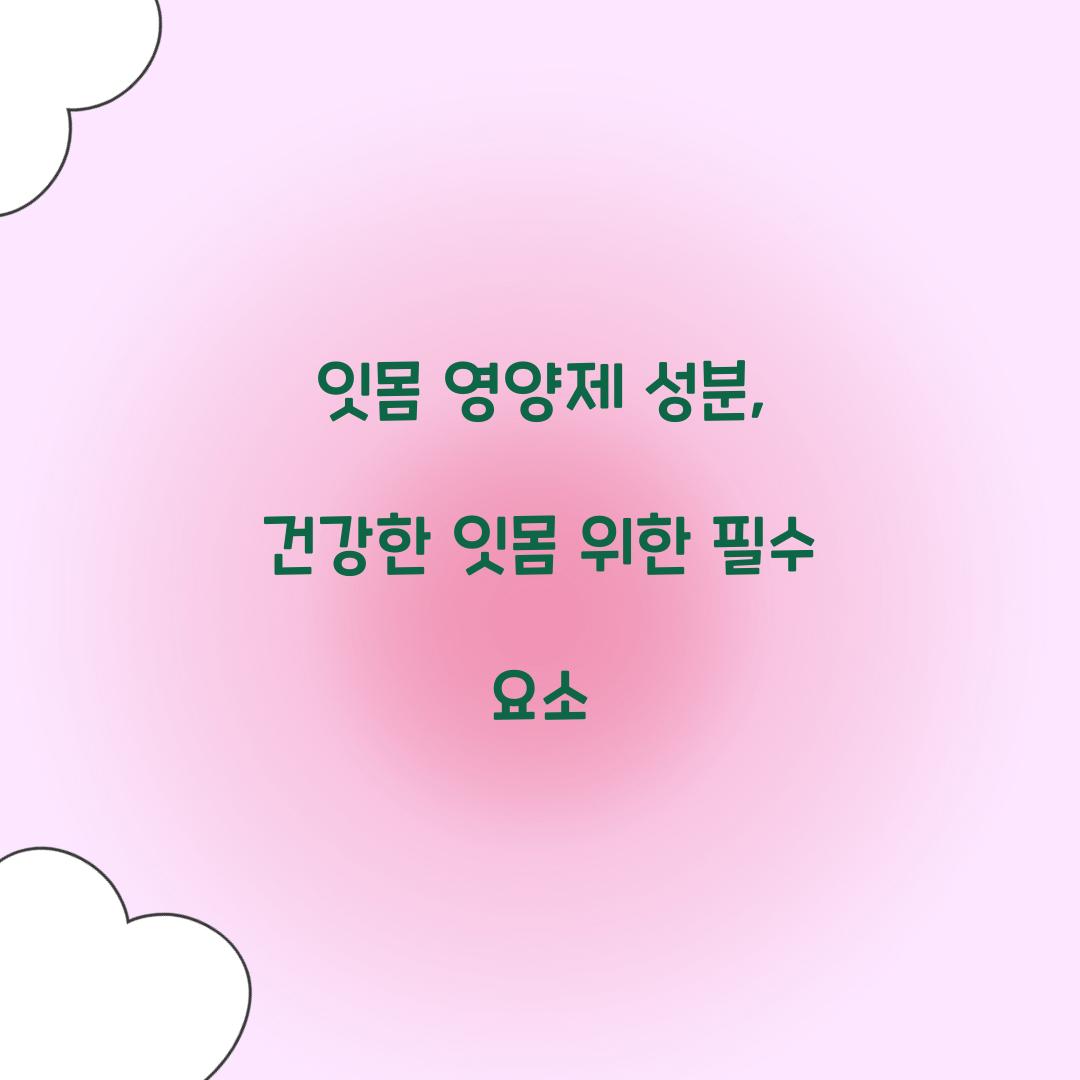 잇몸 영양제 성분