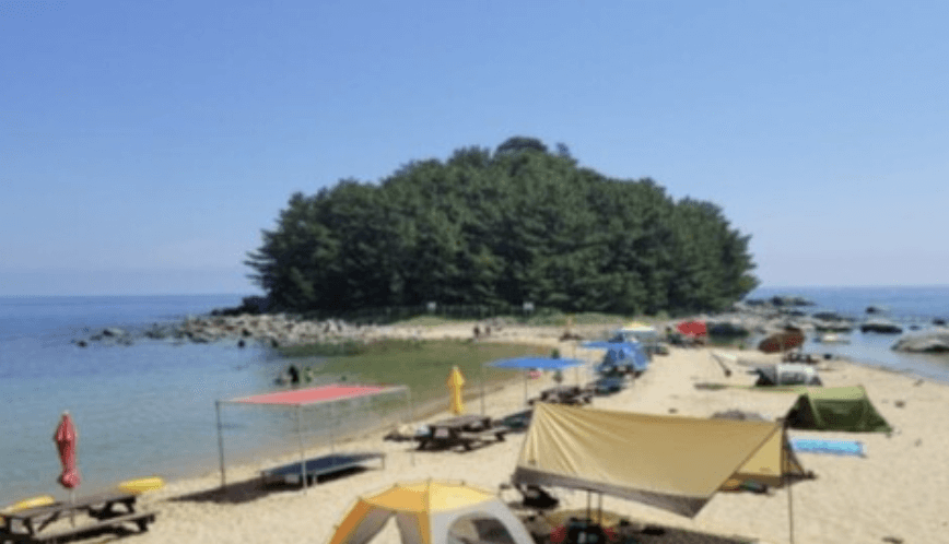 해수욕장 개장일정