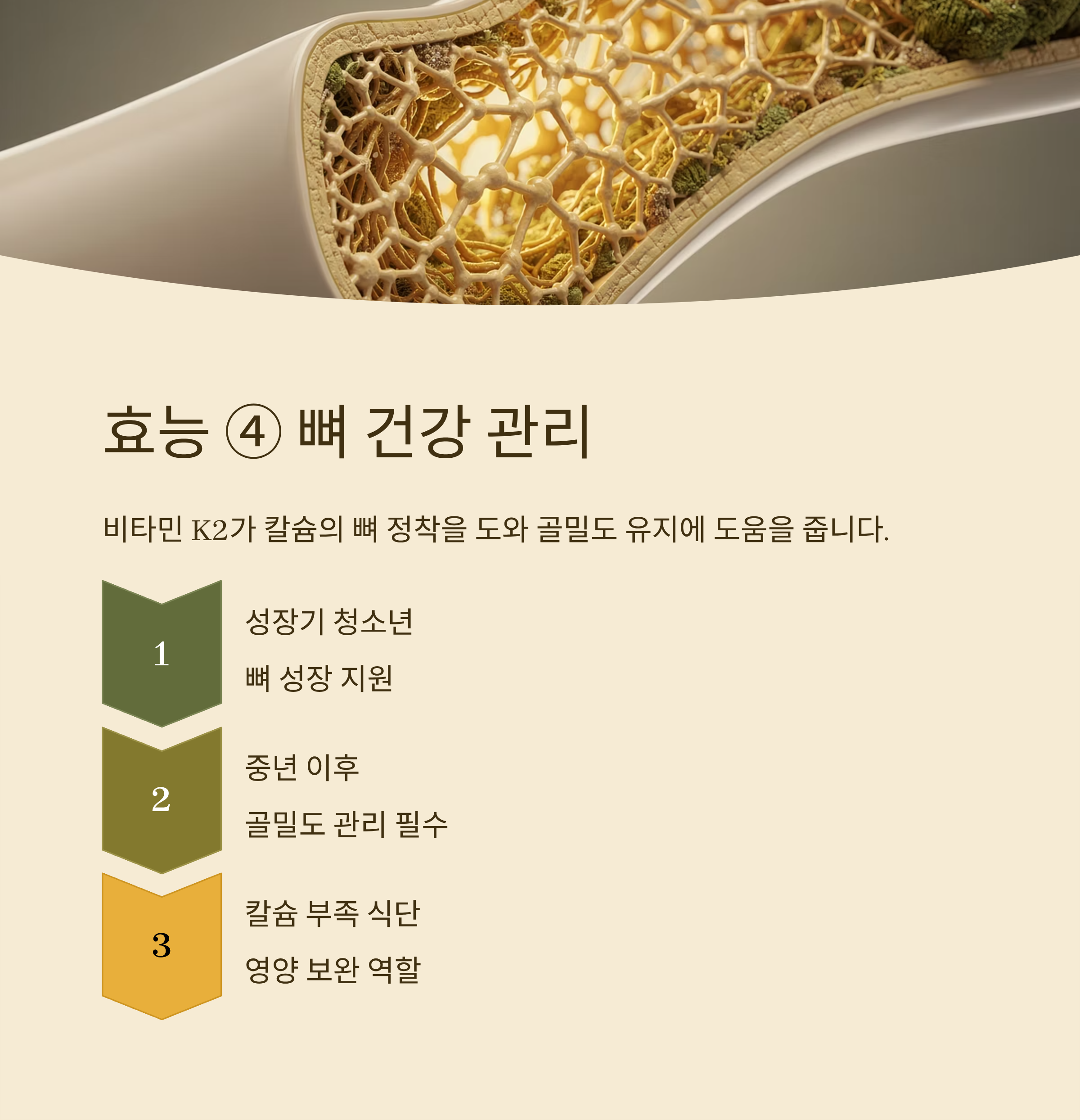 낫또의 효능 뼈 건강 관리