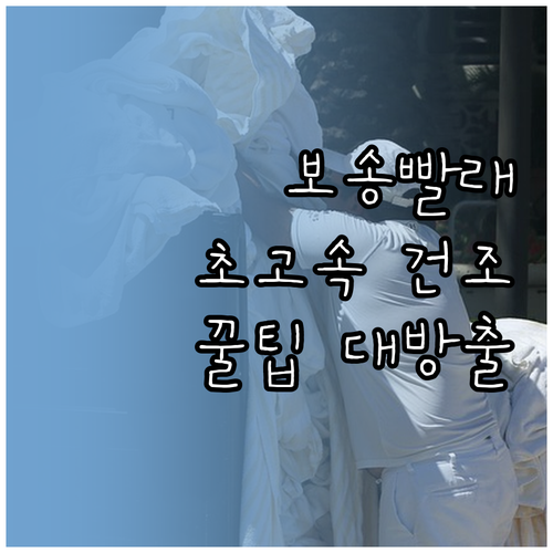 보송보송 빨래를 위한 필승 전략: 빠..