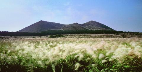 10월 제주도 가볼만한곳 추천 베스트 10. 따라비오름 (영천리)