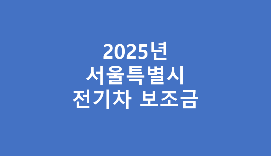 서울시 전기차 보조금 2025년