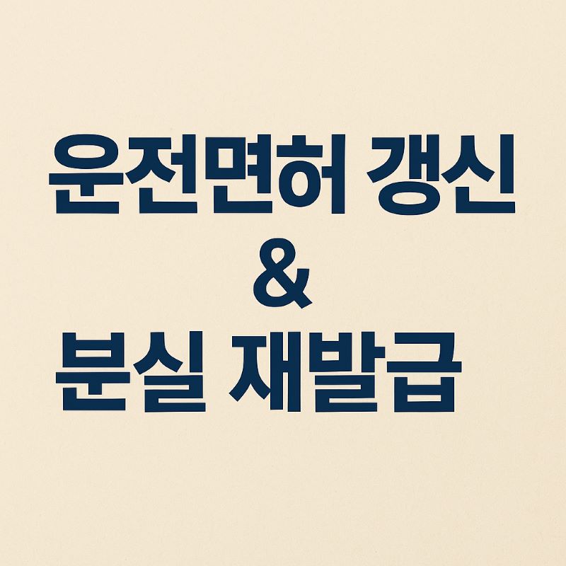 2025년 운전면허 갱신 &amp; 분실 재발급
