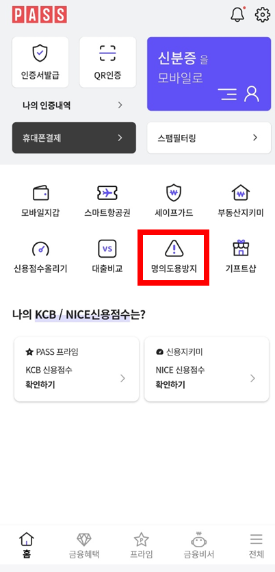 PASS앱명의도용방지서비스