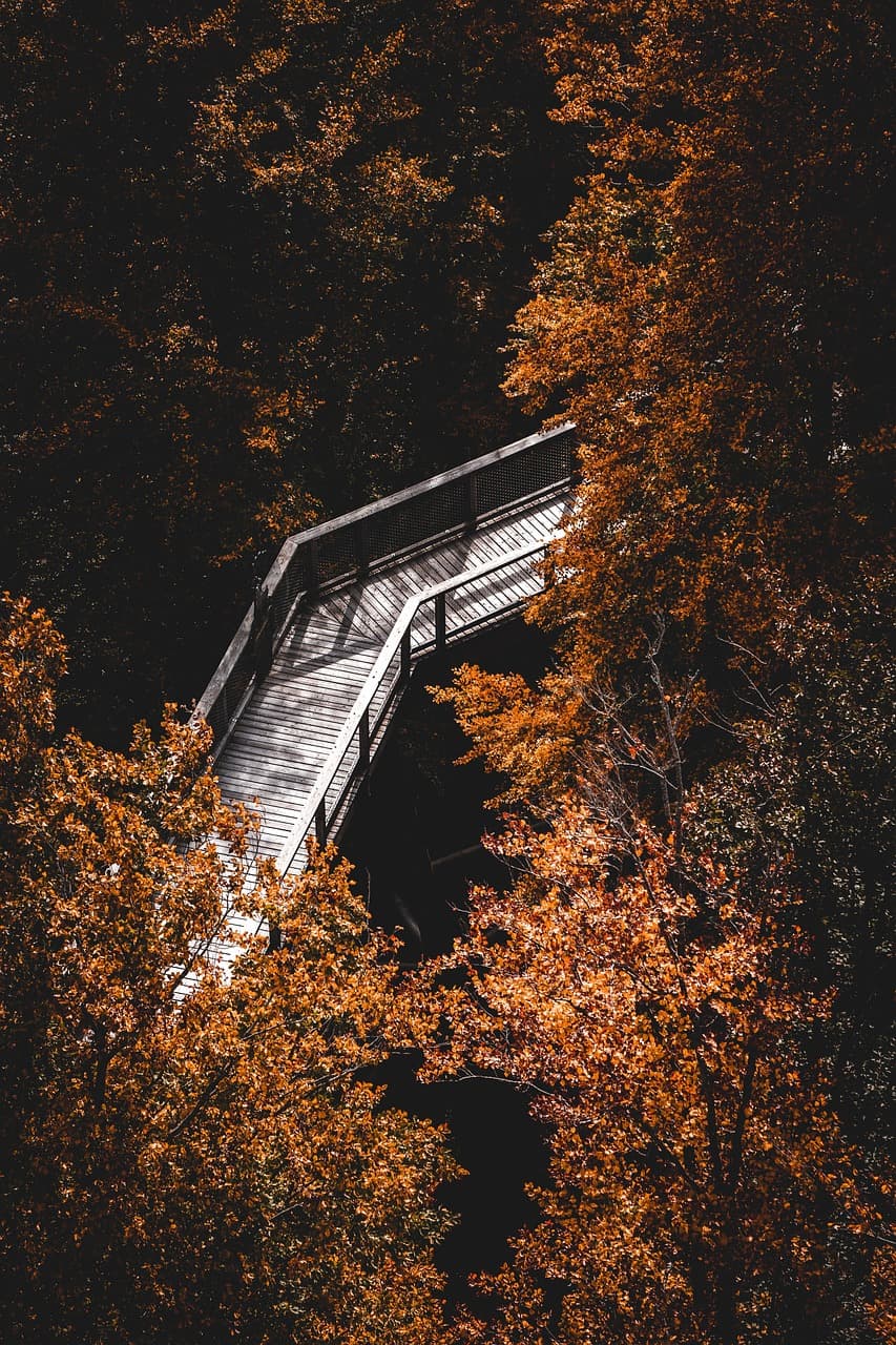 🍁 가을 등산화 추천 & 선택법 – 단풍 산행을 더 편안하게!