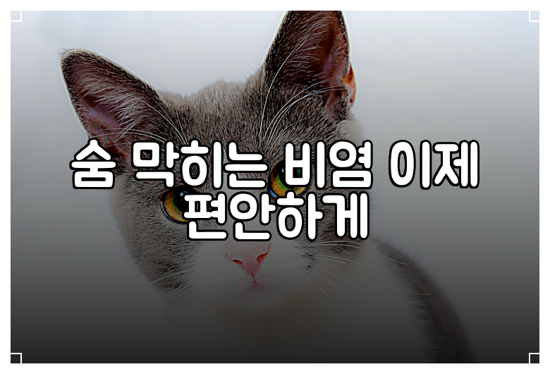 숨 막히는 비염 이제 편안하게