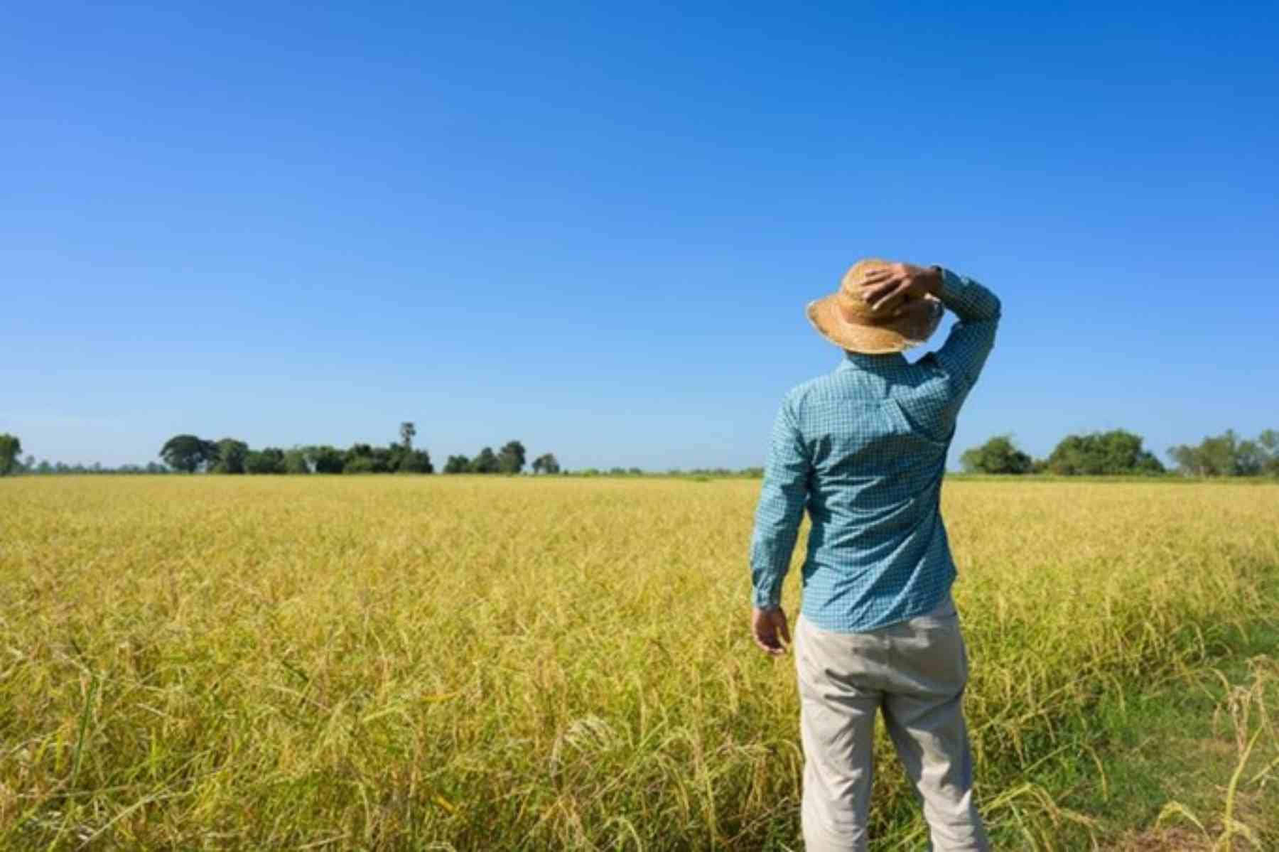 2025년 귀농 취득세 감면 조건과 추징 사례까지 완전정리